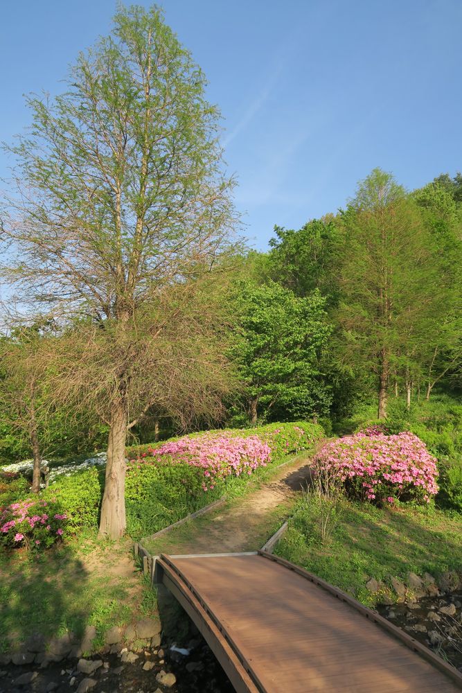淡路島公園の画像 - 4枚目