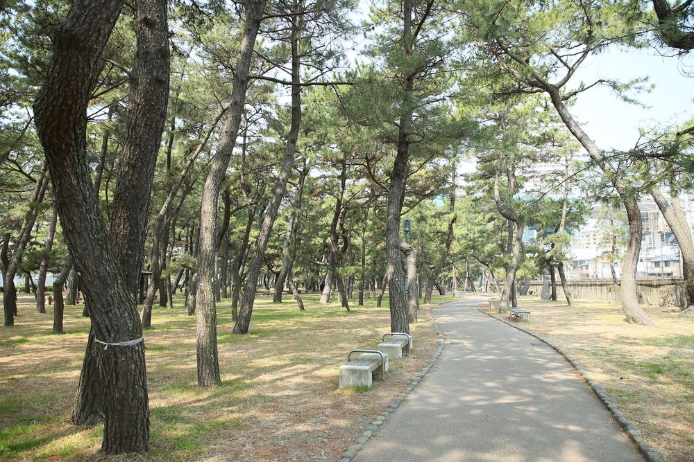 舞子公園の画像 - 2枚目