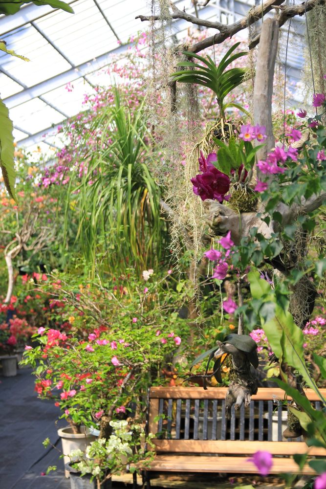 亜熱帯植物楽園 由布島の画像 - 3枚目