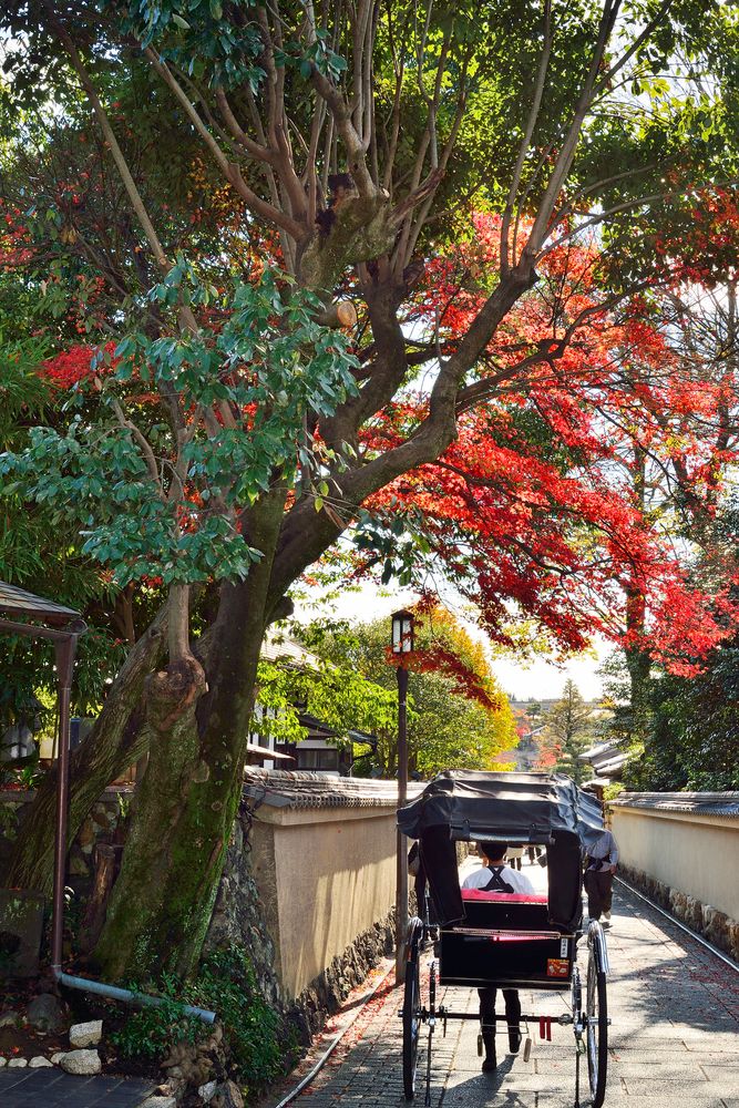 ねねの道の画像 - 2枚目