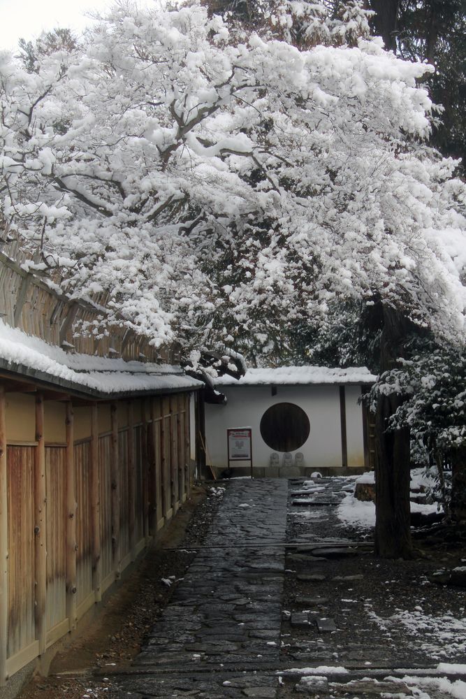 ねねの道の画像 - 4枚目