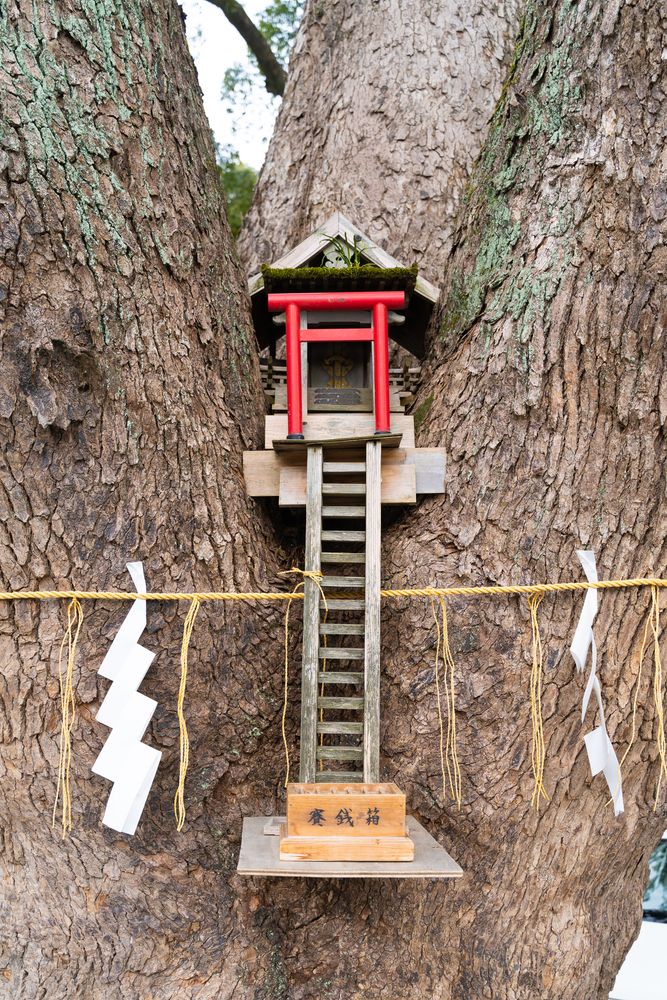 加藤神社の画像 - 4枚目