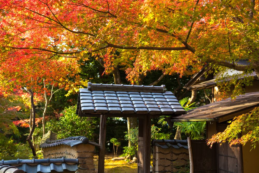 松永記念館の画像 - 2枚目