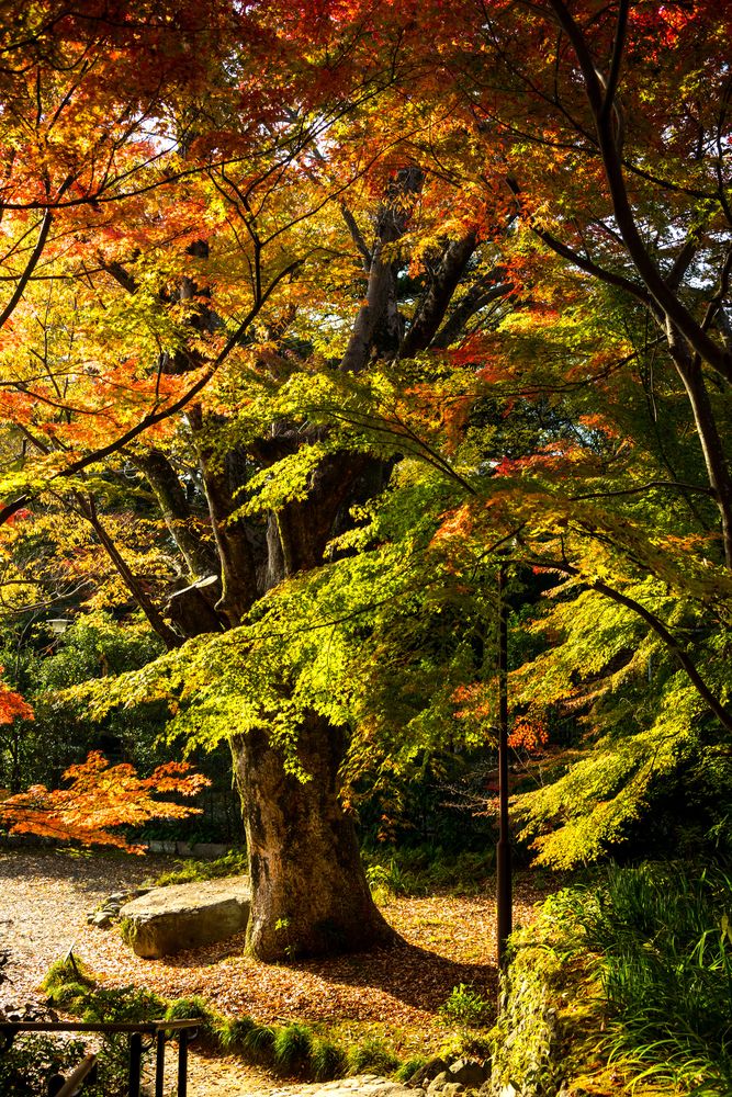 松永記念館の画像 - 3枚目