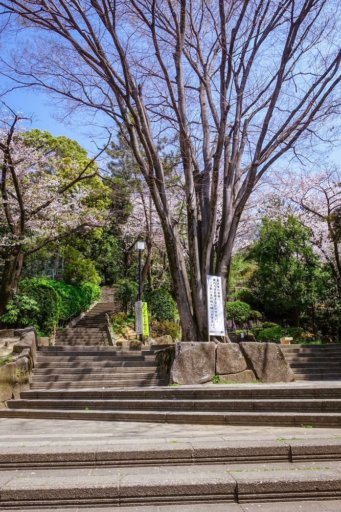 西郷山公園の画像 - 3枚目