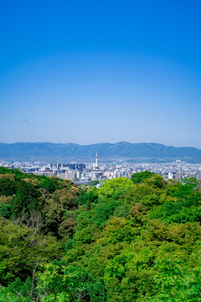 清水寺の画像 - 4枚目