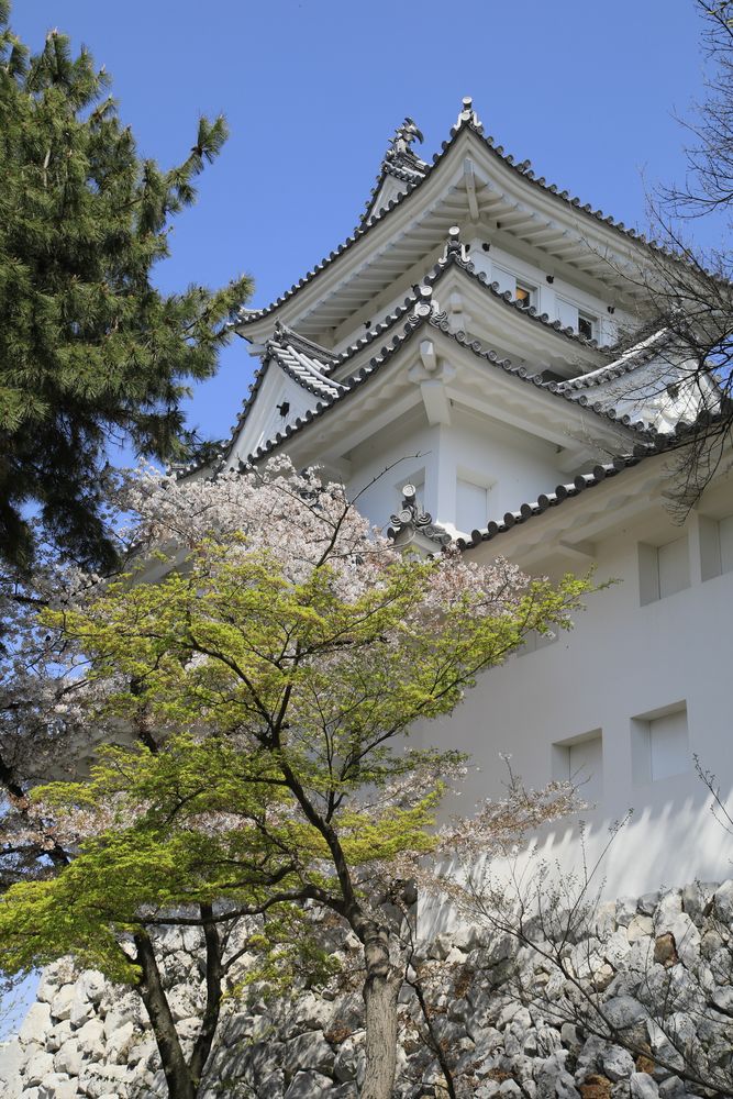 大垣城の画像 - 4枚目