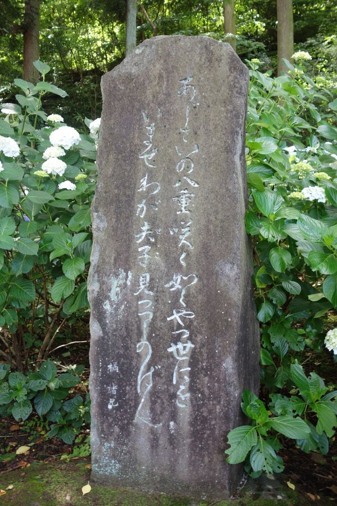 小野池あじさい公園の画像 - 2枚目