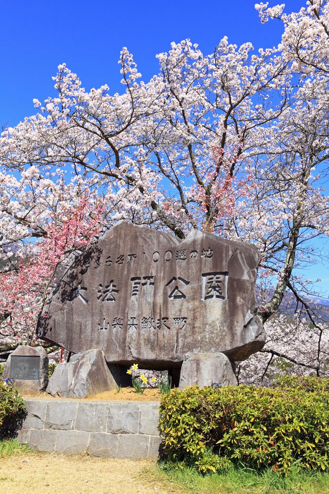 大法師公園の画像 - 3枚目