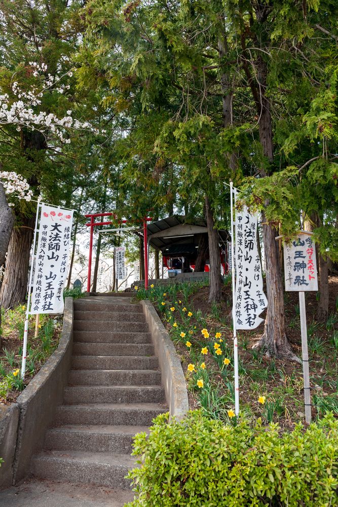 大法師公園の画像 - 4枚目