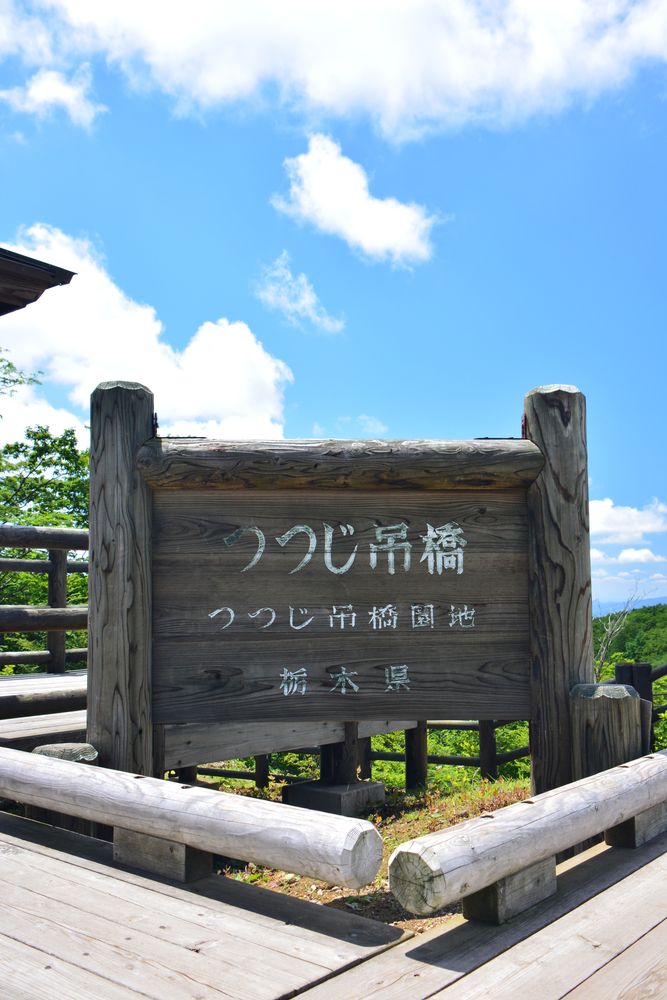 つつじ吊橋の画像 - 2枚目