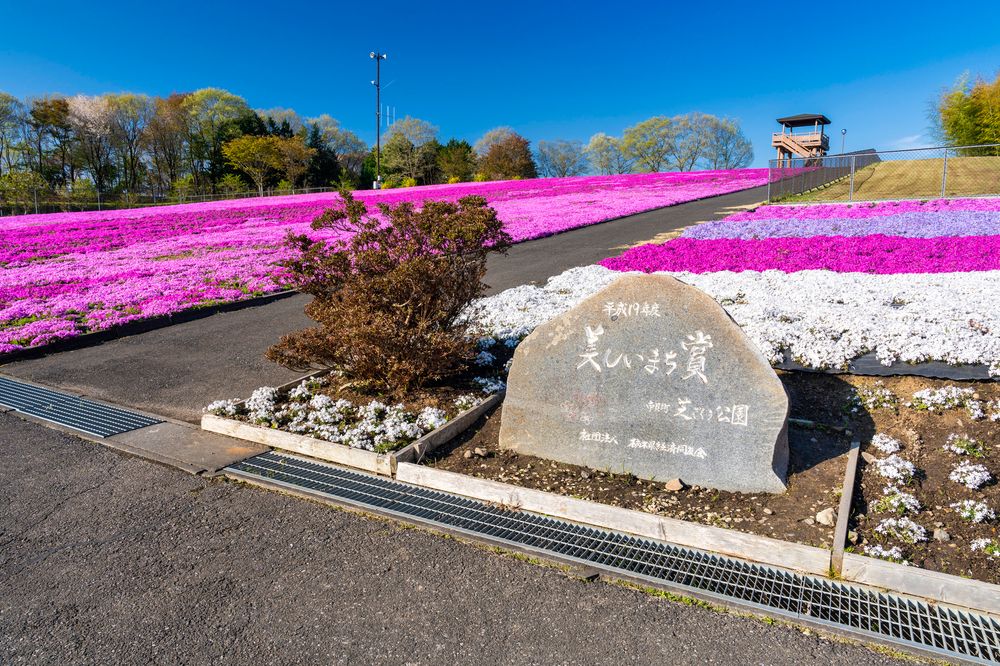 市貝芝ざくら公園の画像 - 2枚目