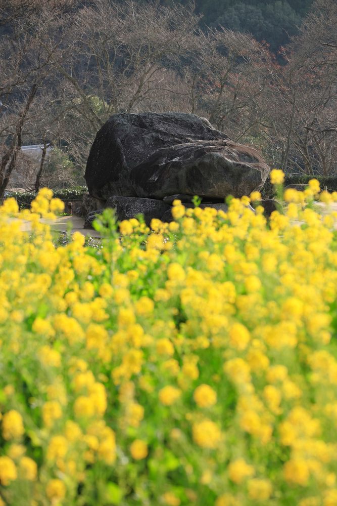 石舞台古墳の画像 - 4枚目