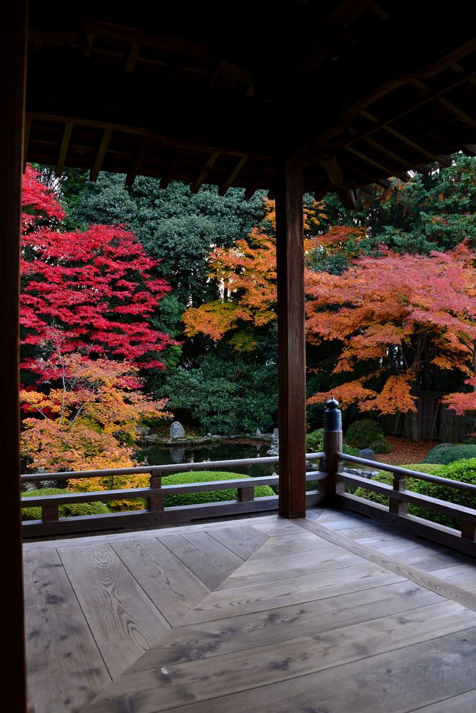 随心院の画像 - 2枚目