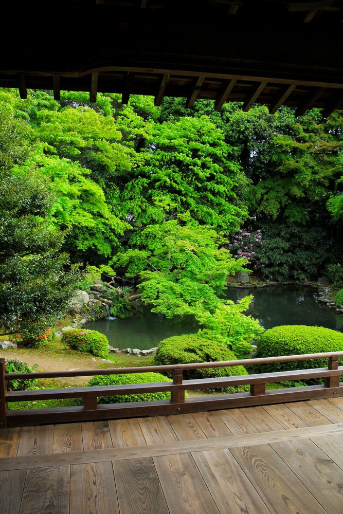 随心院の画像 - 3枚目