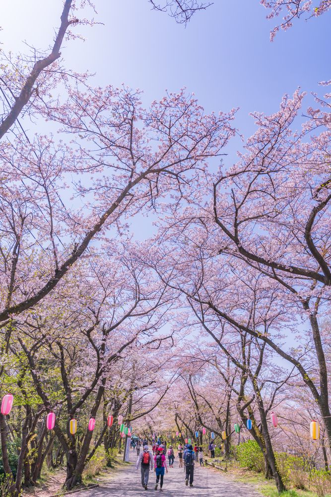 弘法山の画像 - 2枚目