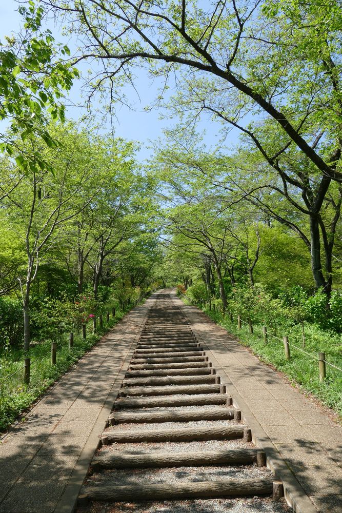 山の万座     大判6枚まとめて My Masami Yamada Book Collection – MyKaiju®