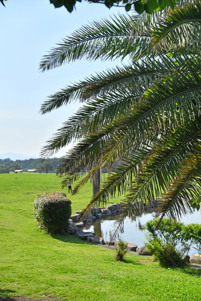 辻堂海浜公園の画像 - 3枚目