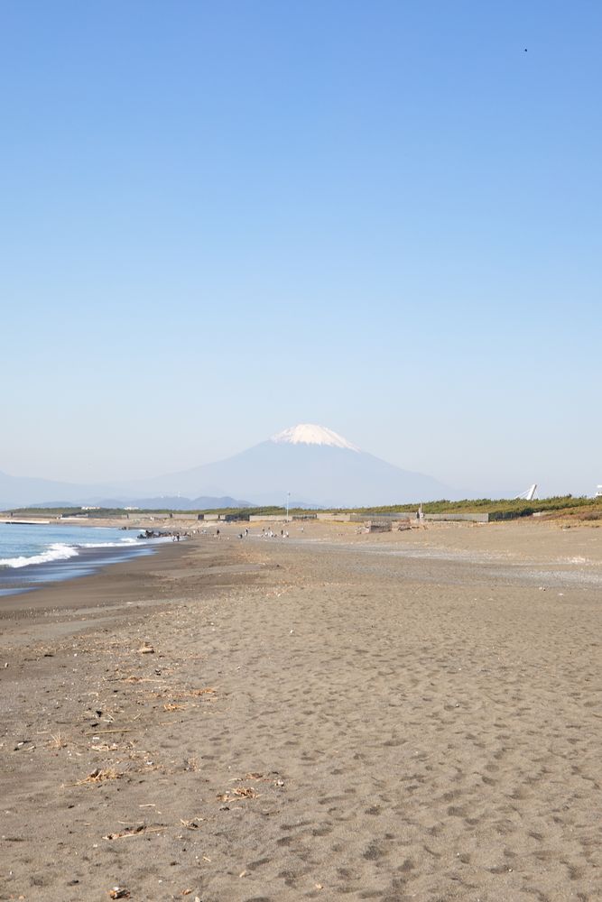 辻堂海浜公園の画像 - 4枚目