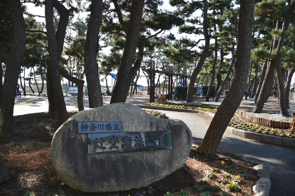 辻堂海浜公園の画像 - 5枚目