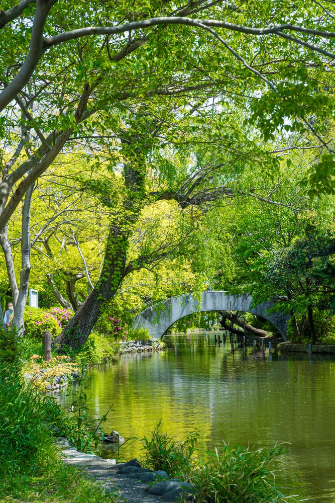 石神井公園の画像 - 3枚目