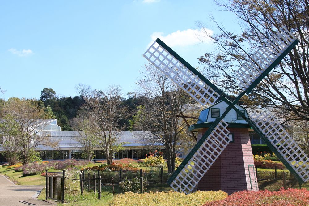 兵庫県立フラワーセンターの画像 - 2枚目