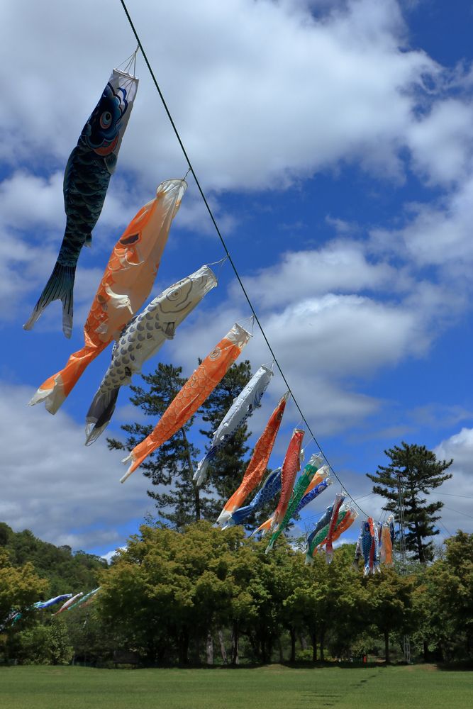 兵庫県立フラワーセンターの画像 - 5枚目