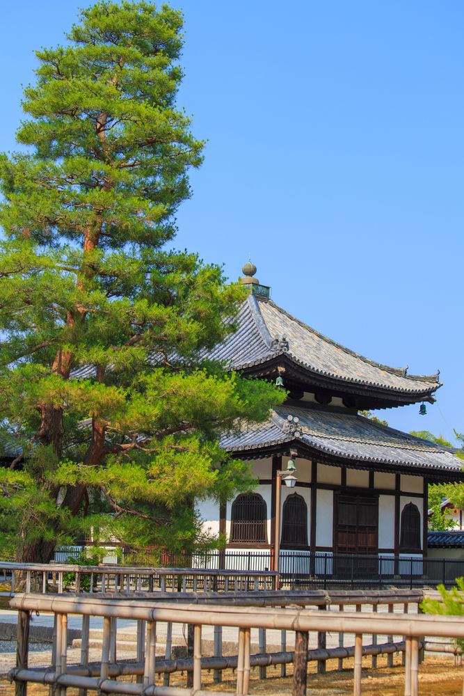 妙心寺の画像 - 2枚目