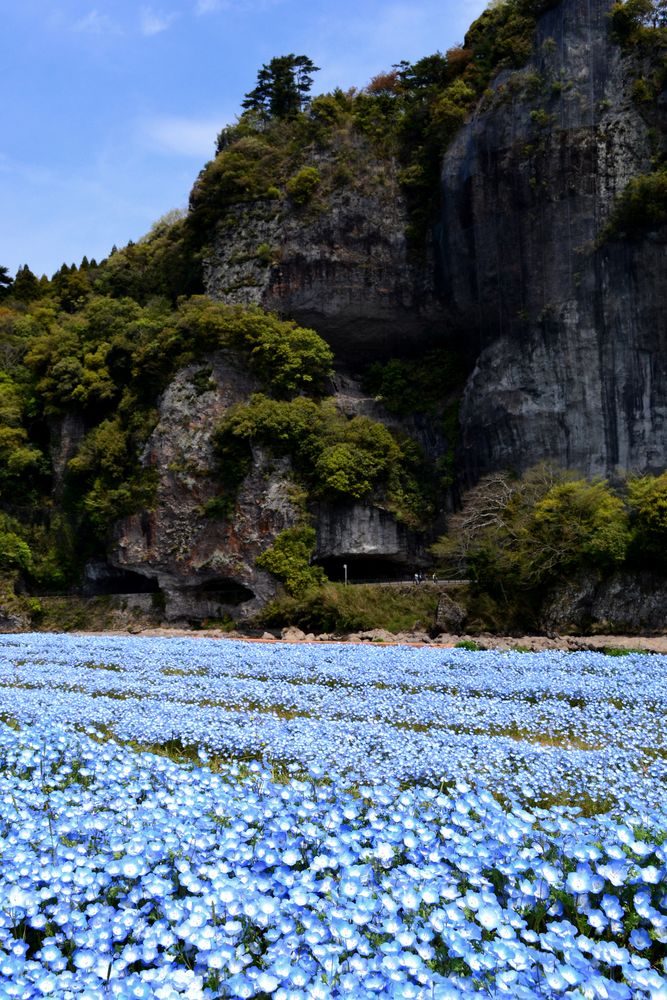 青の洞門の画像 - 4枚目