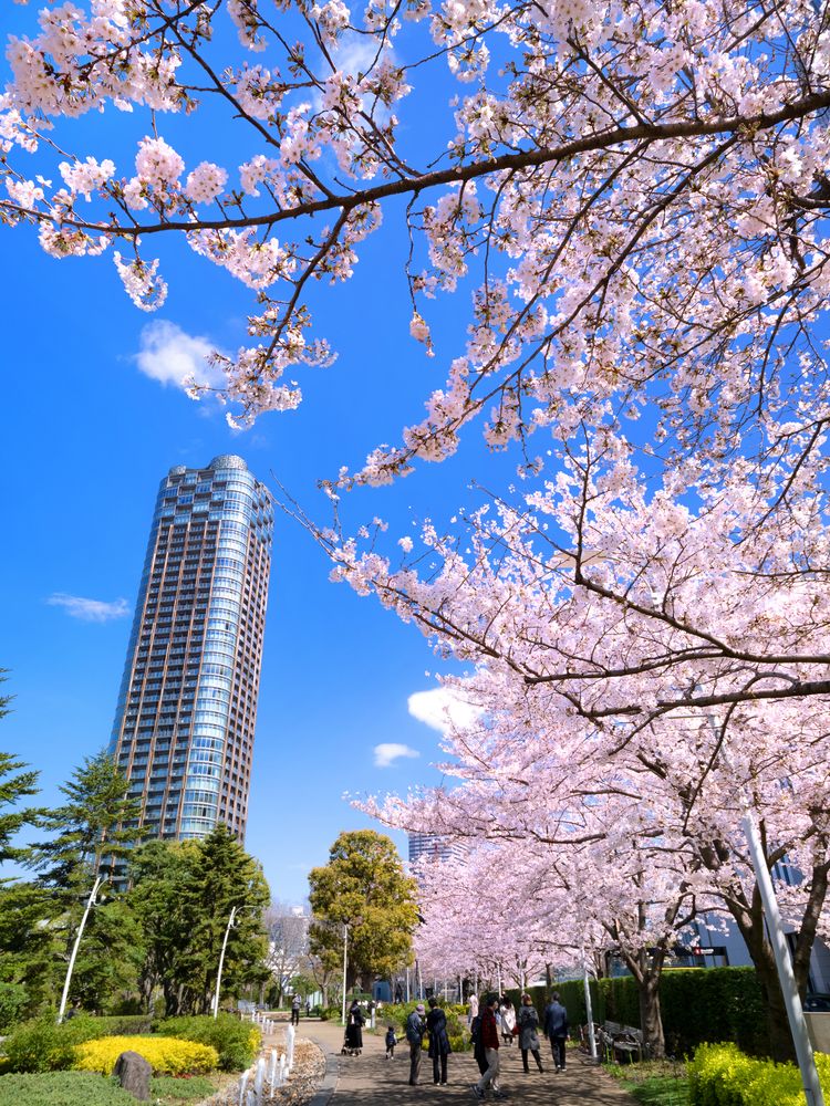 檜町公園の画像 - 4枚目