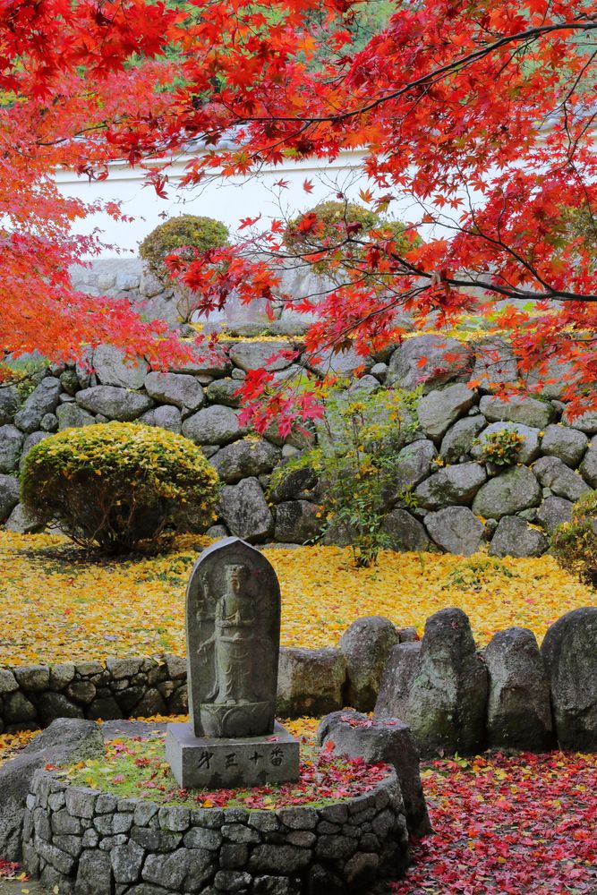 九品寺の画像 - 2枚目