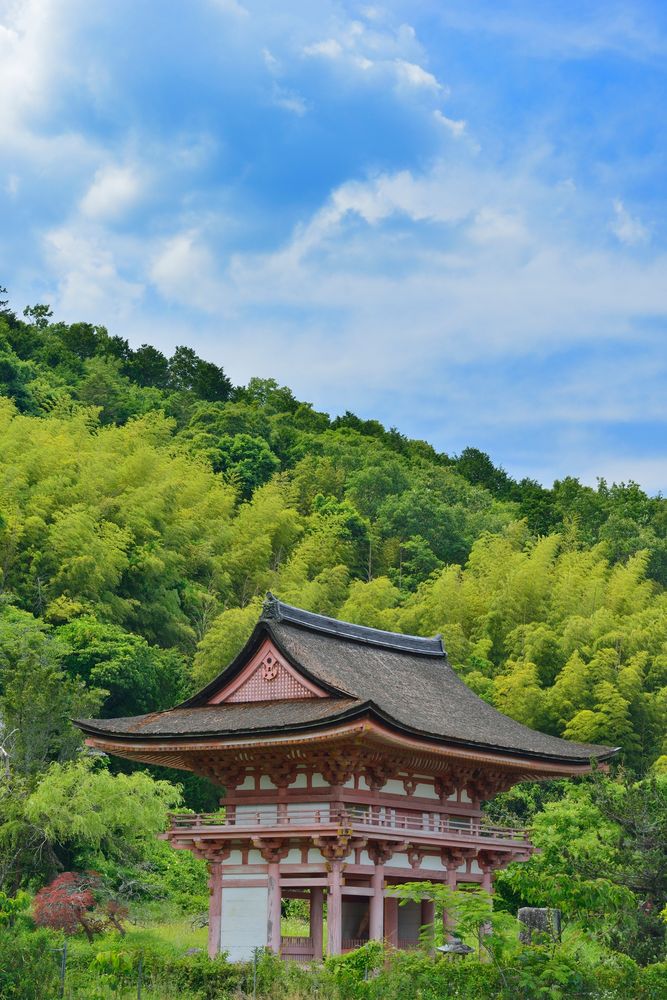 九品寺の画像 - 3枚目