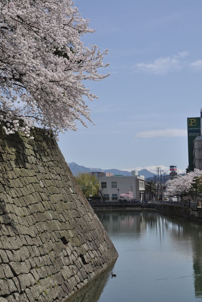 福井城址の画像 - 2枚目