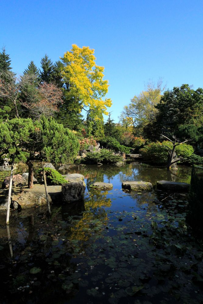 真鍋庭園の画像 - 5枚目
