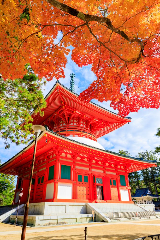 高野山 壇上伽藍の画像 - 5枚目