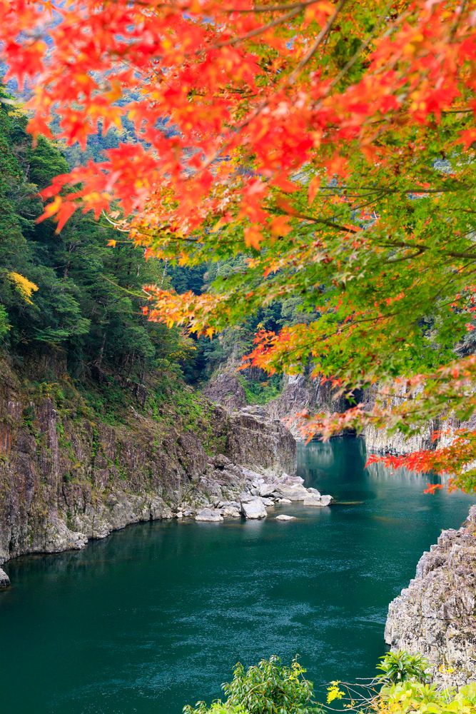 瀞峡の画像 - 3枚目