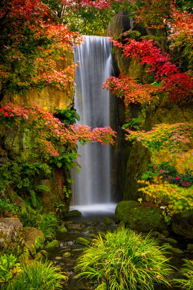 宝筐院の画像 - 2枚目
