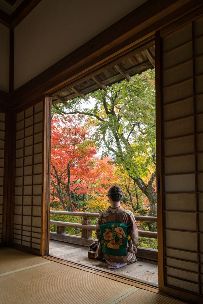 宝筐院の画像 - 3枚目