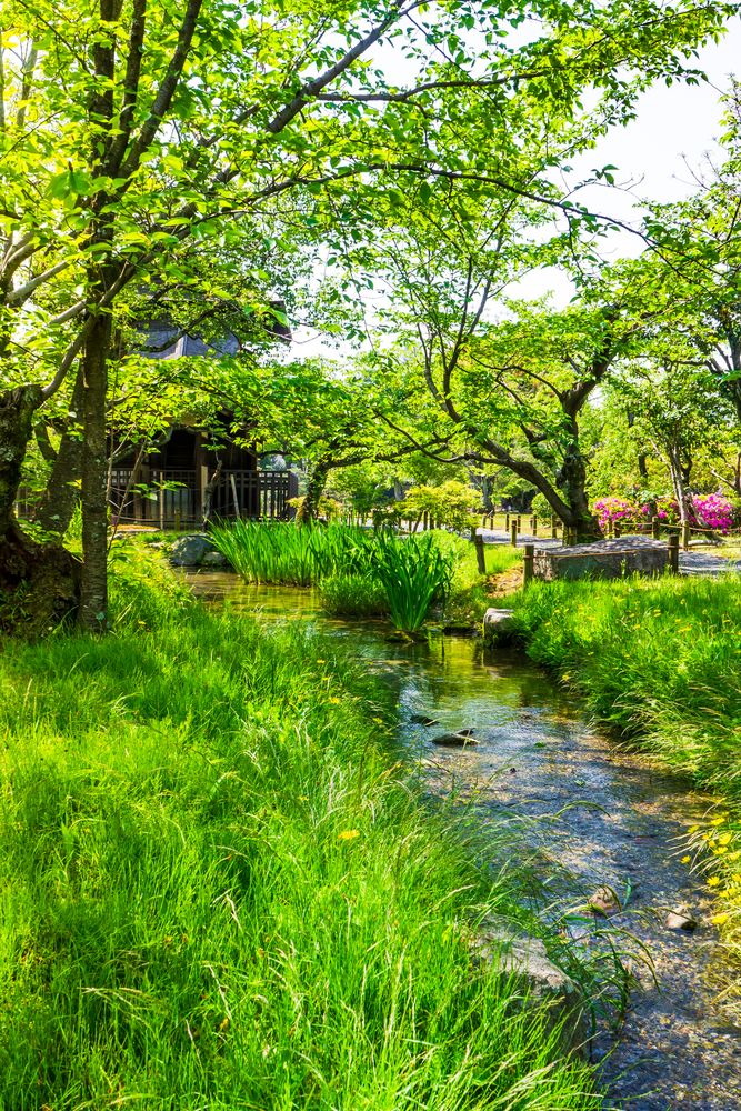 渉成園(枳殻邸)の画像 - 4枚目