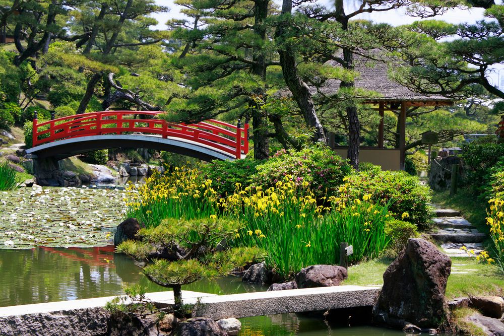 中津万象園の画像 - 3枚目