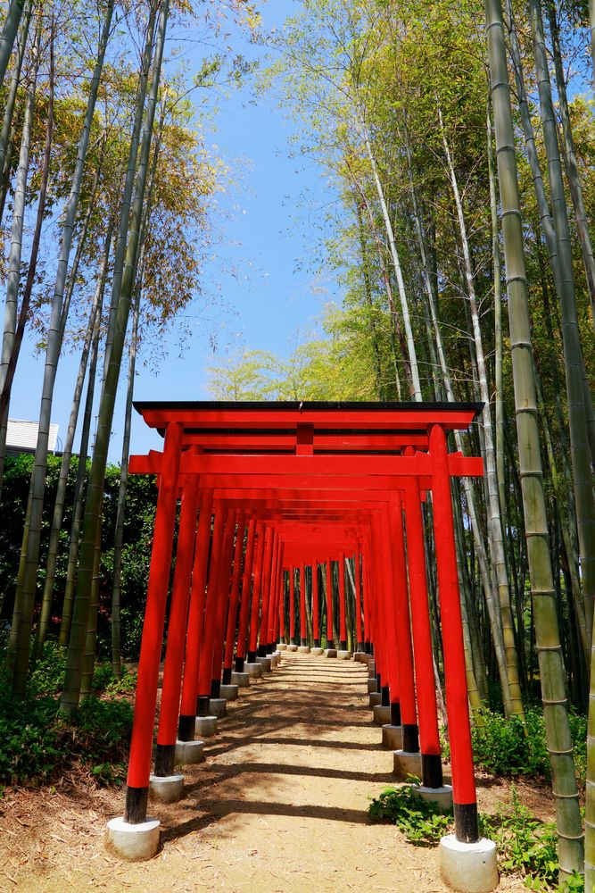 中津万象園の画像 - 4枚目