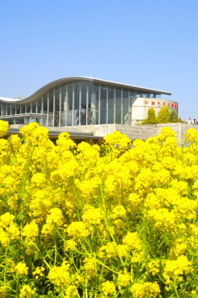 千葉市花の美術館の画像 - 2枚目