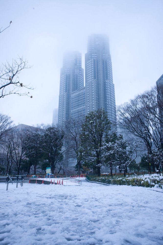新宿中央公園の画像 - 2枚目