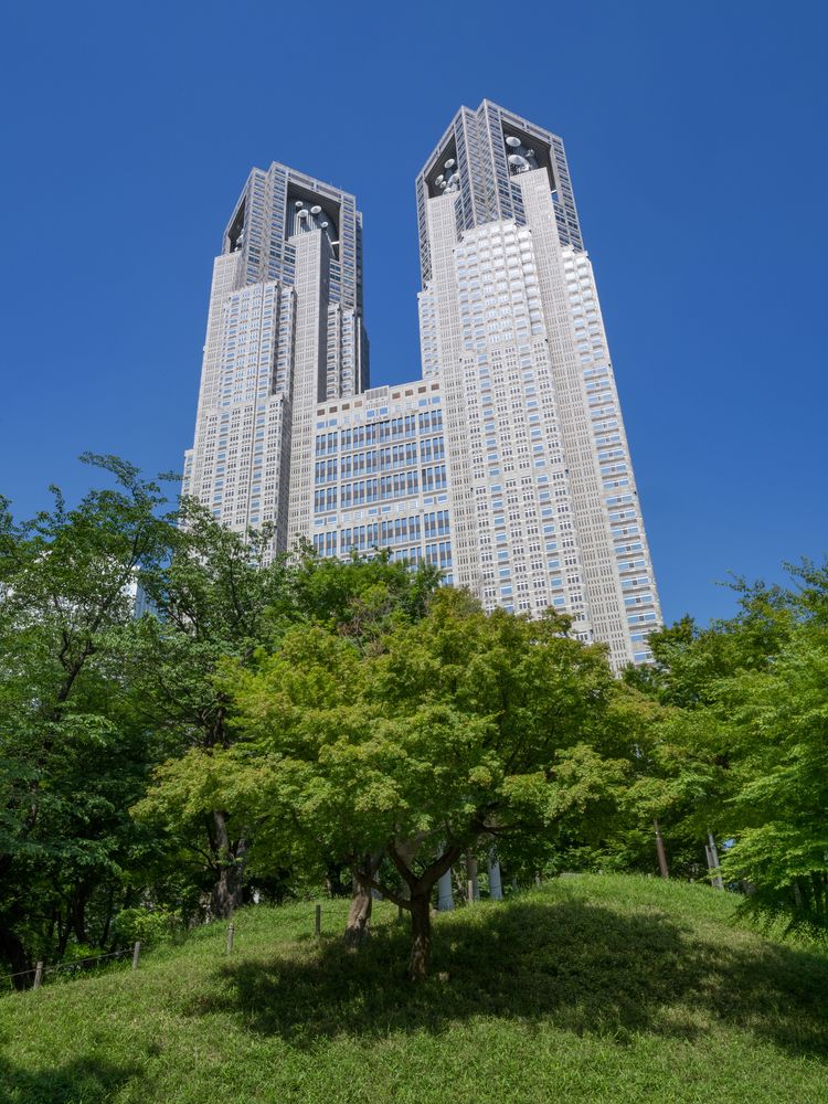 新宿中央公園の画像 - 5枚目