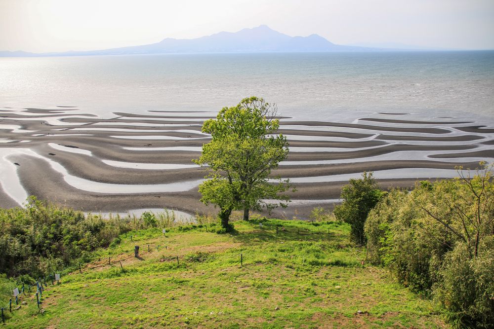 御輿来海岸の画像 - 2枚目