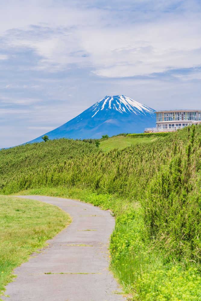 十国峠の画像 - 5枚目