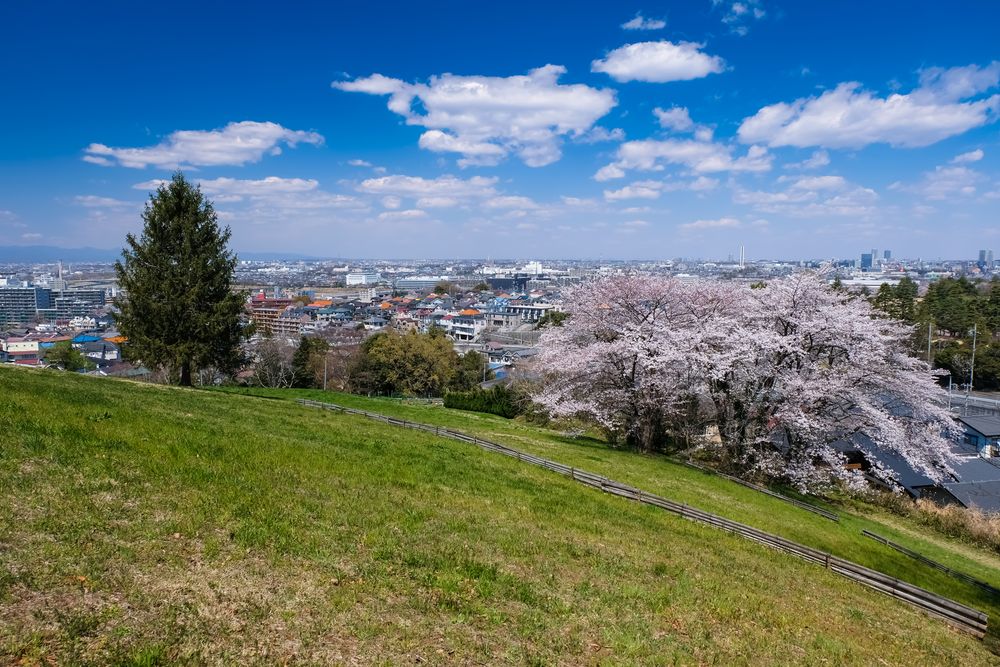 桜ヶ丘公園 ゆうひの丘展望台の画像 - 2枚目