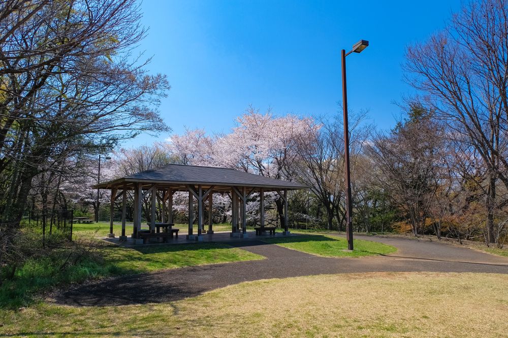 桜ヶ丘公園 ゆうひの丘展望台の画像 - 3枚目