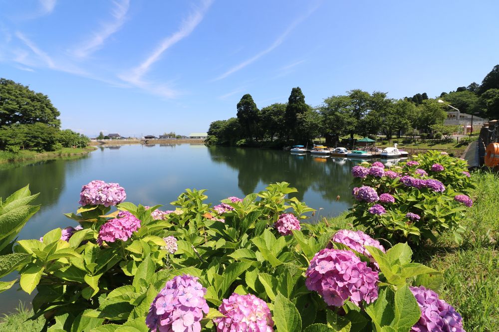 富山市ファミリーパークの画像 - 2枚目