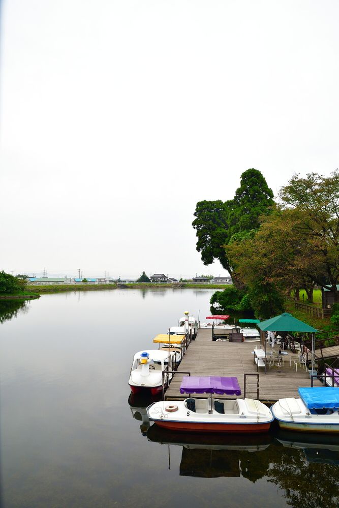 富山市ファミリーパークの画像 - 5枚目